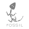 Logo verzovacího systému Fossil