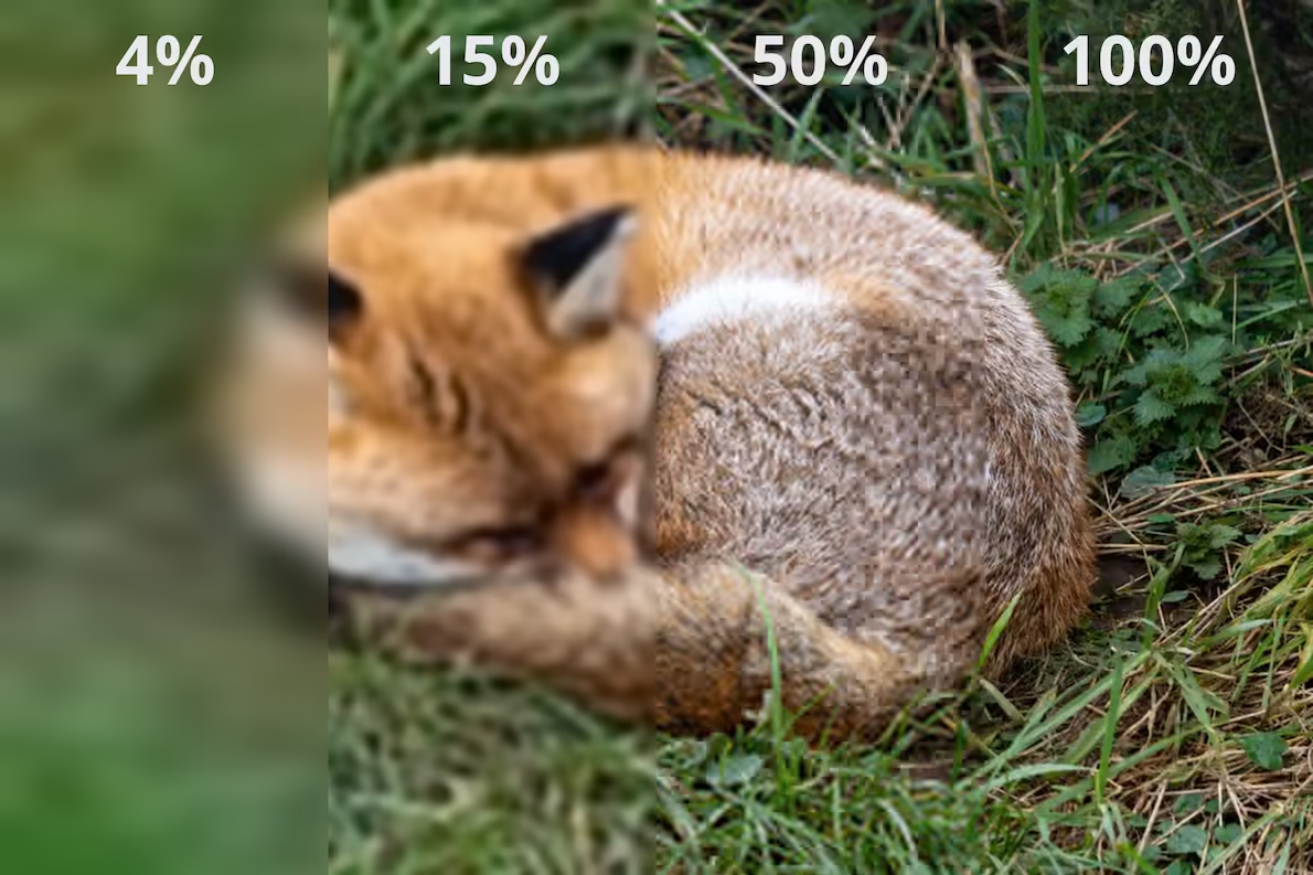 Čtyři části fotografie spící lišky ukazují zpřesňování obrazu po stažení 4, 15, 50 a 100 procent dat JPEG XL.